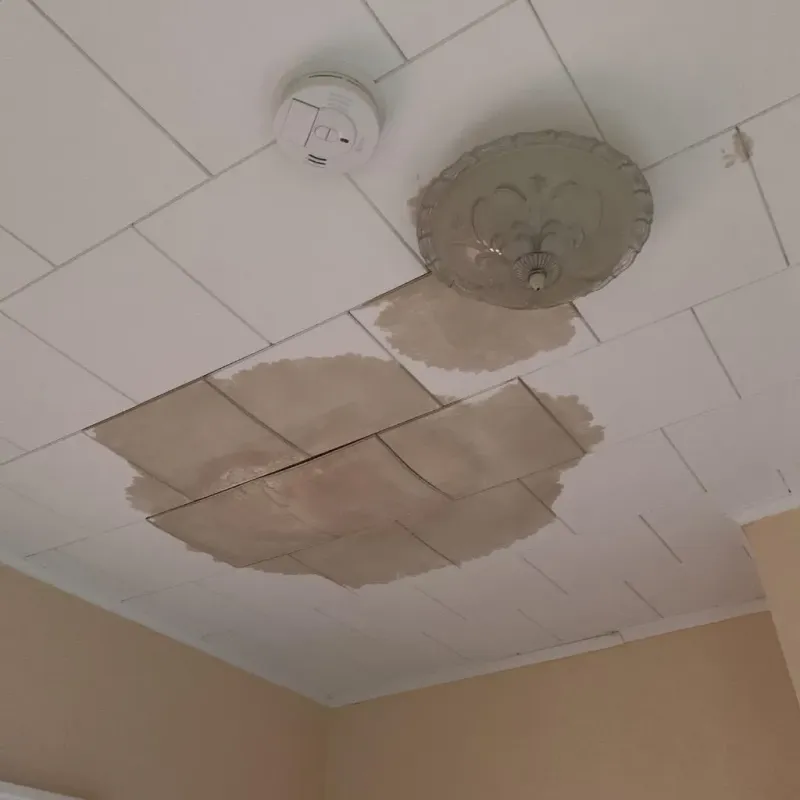 Ceiling Water Damage Repair in Detroit Lakes, MN