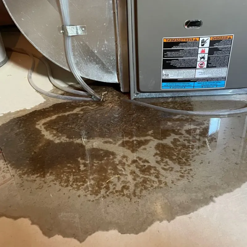 Pipe Burst and Leak Restoration in Detroit Lakes, MN