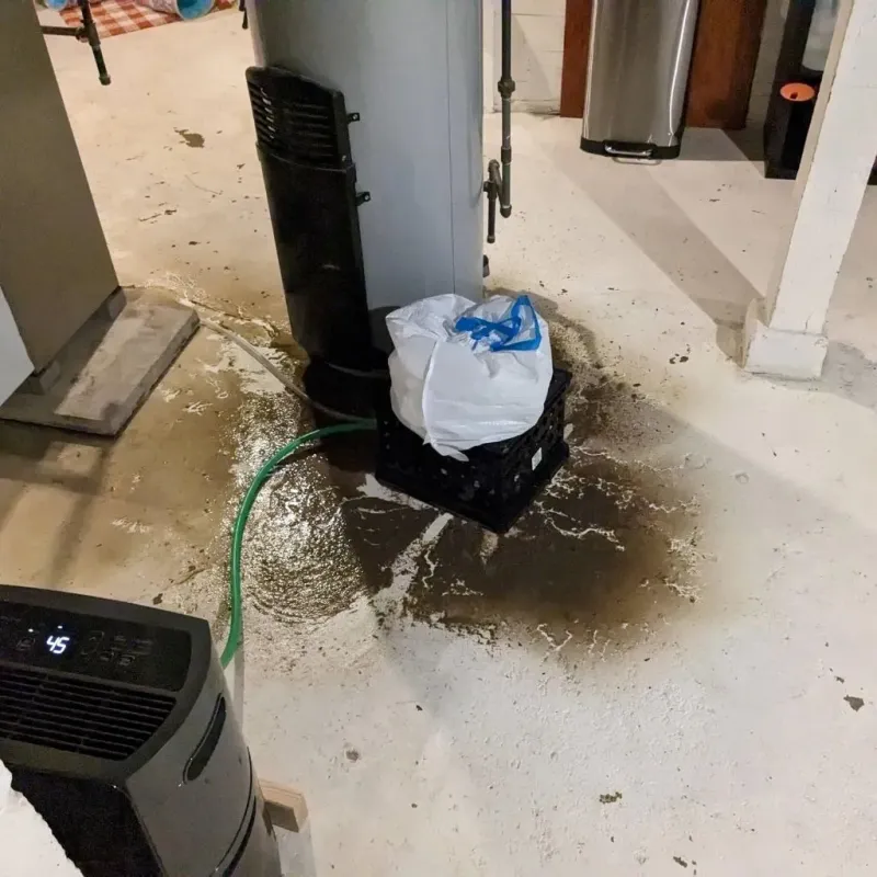 Sewage Backup Cleanup Service in Detroit Lakes, MN